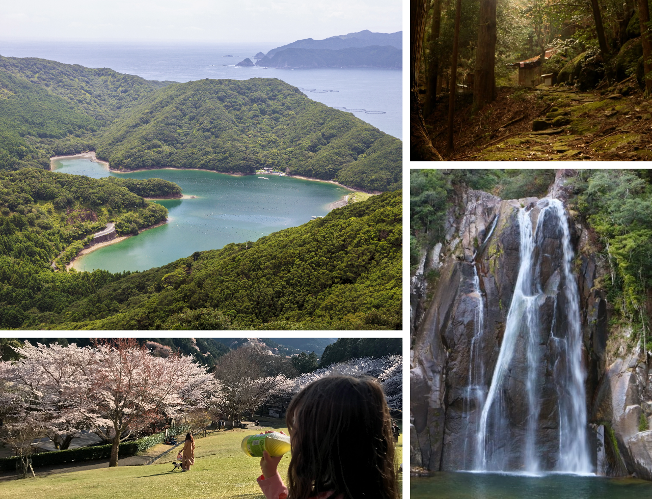 採用情報ページトップバナー写真